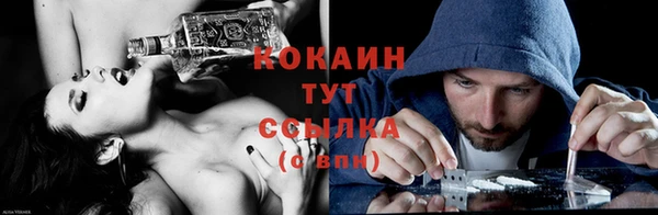 молекула духа Горнозаводск