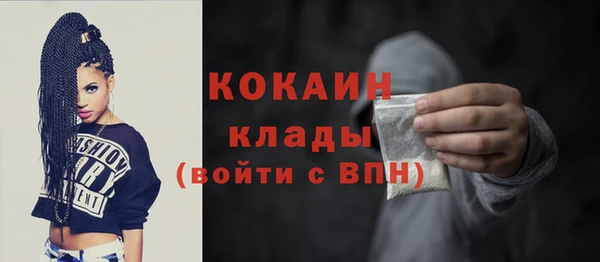 молекула духа Горнозаводск