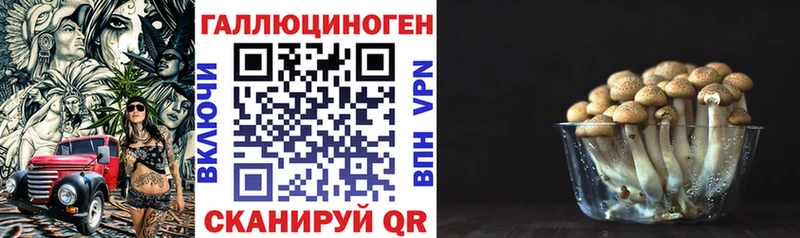 Купить  Тулун  Галлюциногенные грибы ЛСД 